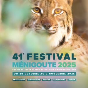 41e Festival de Ménigoute